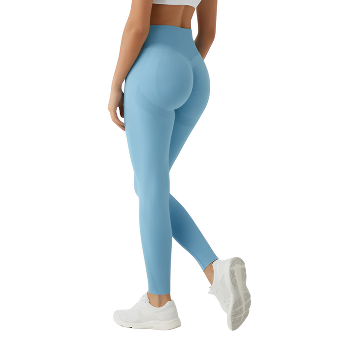 Seamless Sculpting Leggings