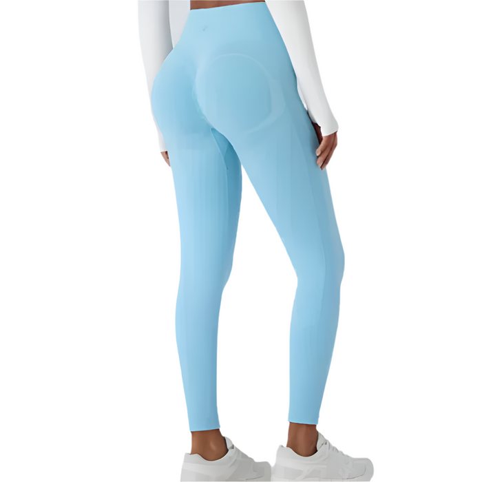 Seamless Sculpting Leggings