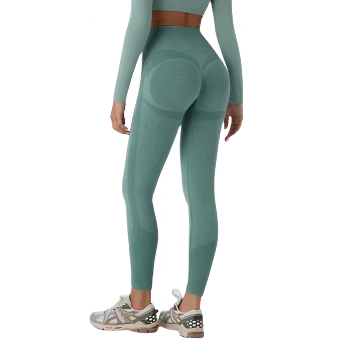 Seamless Sculpting Leggings