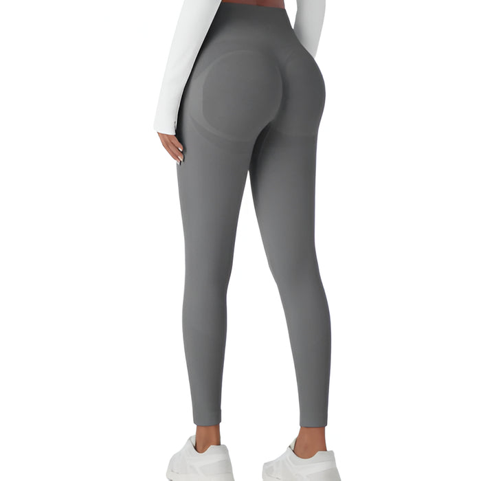 Seamless Sculpting Leggings